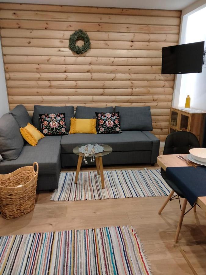 Anielki Apartament ซาโกปาเน ภายนอก รูปภาพ